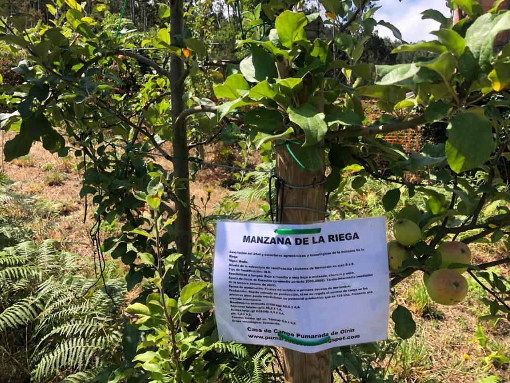 פוז Casa De Campo Pumarada De Oirin מראה חיצוני תמונה