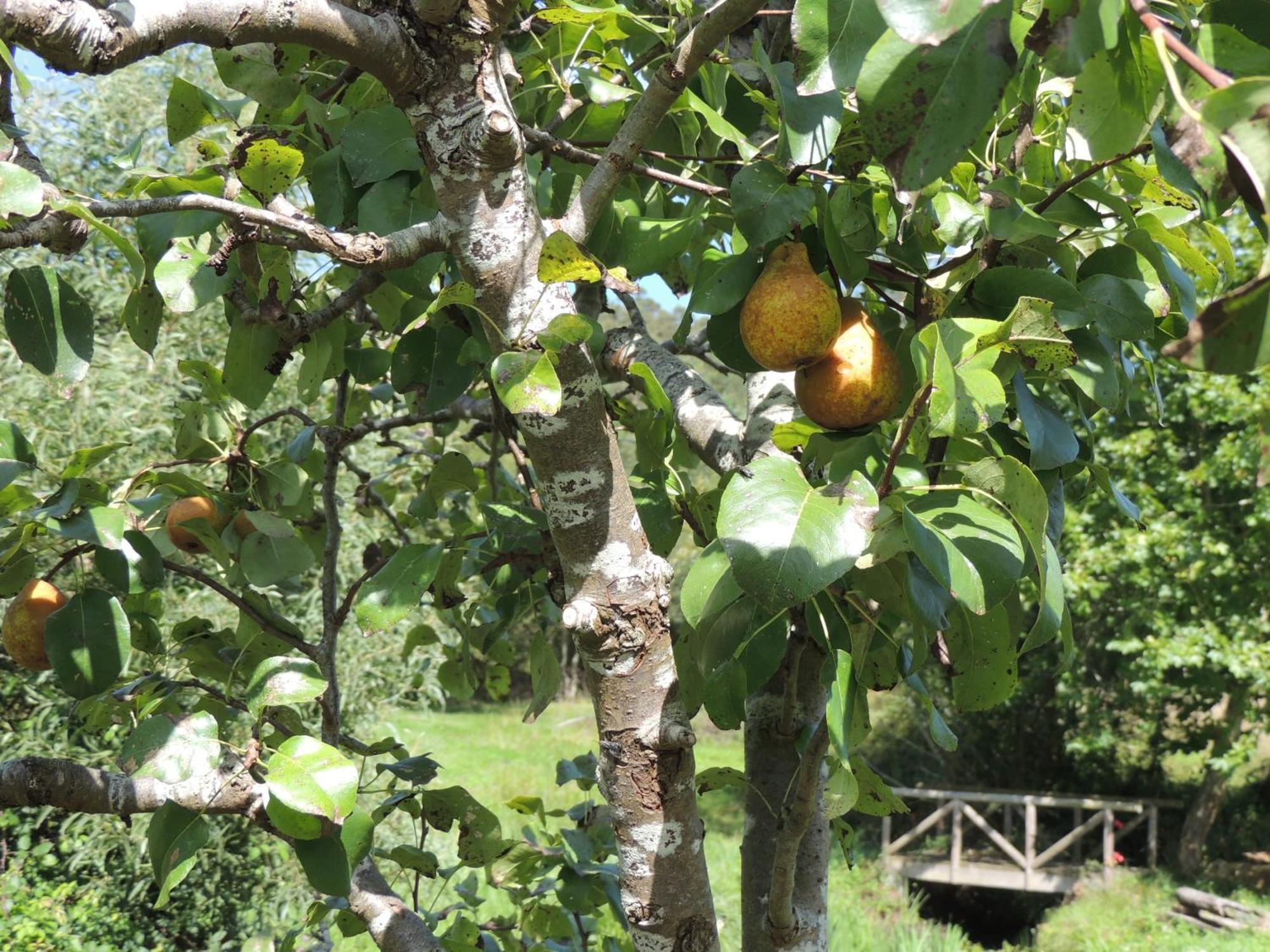 פוז Casa De Campo Pumarada De Oirin מראה חיצוני תמונה
