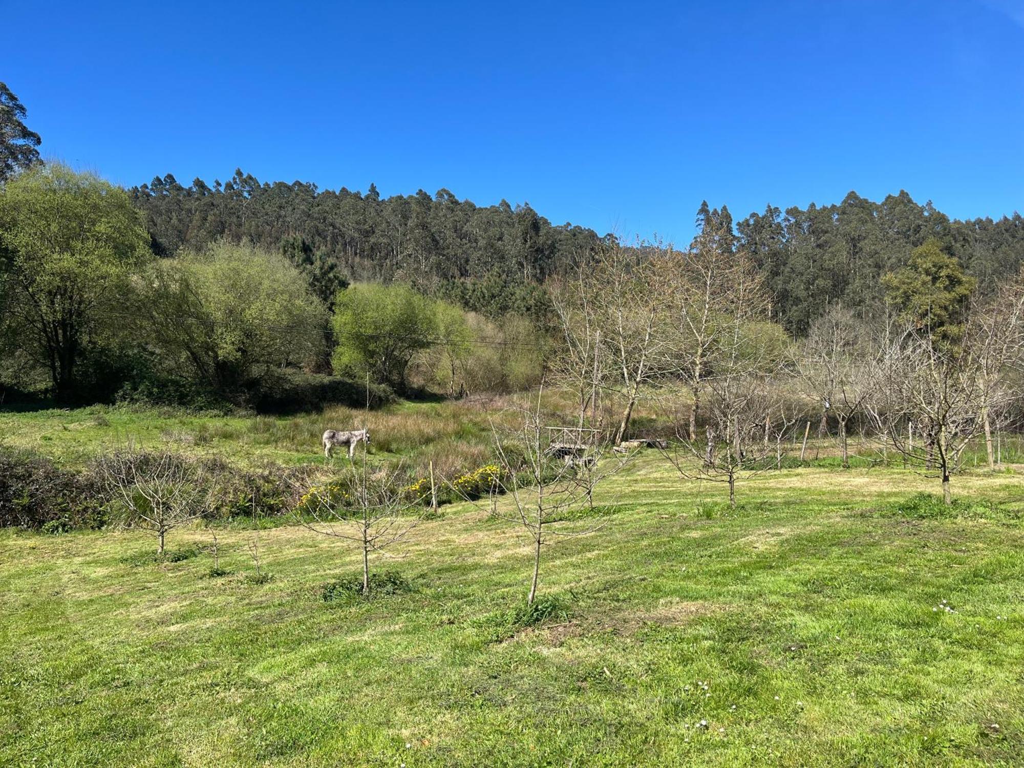 פוז Casa De Campo Pumarada De Oirin מראה חיצוני תמונה